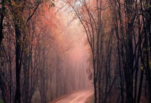 广西队客场失利，积分榜排名下降至第十