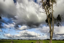 昂热连胜，法甲升班马展现实力