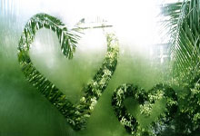 葡萄牙女足：团队协作铸就场上奇迹