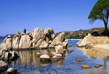 重庆斩落建业，终结连败